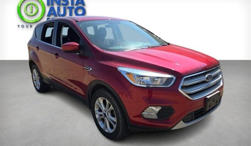 
								2019 Ford Escape SE full									