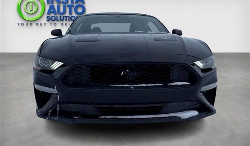 
								2018 Ford Mustang EcoBoost Fastback full									
