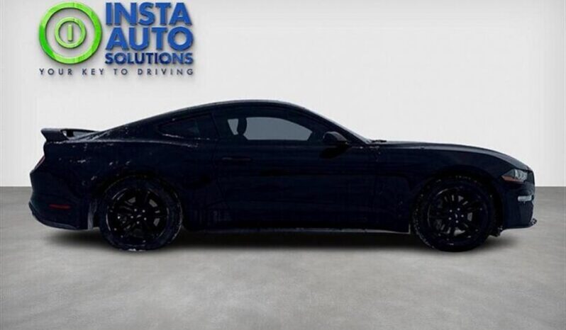 
								2018 Ford Mustang EcoBoost Fastback full									