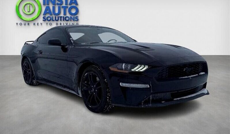 
								2018 Ford Mustang EcoBoost Fastback full									