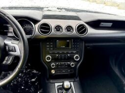 
										2018 Ford Mustang EcoBoost Fastback full									