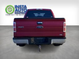 
										2010 Ford F-150 XLT 5.4L SuperCrew 4X4 full									