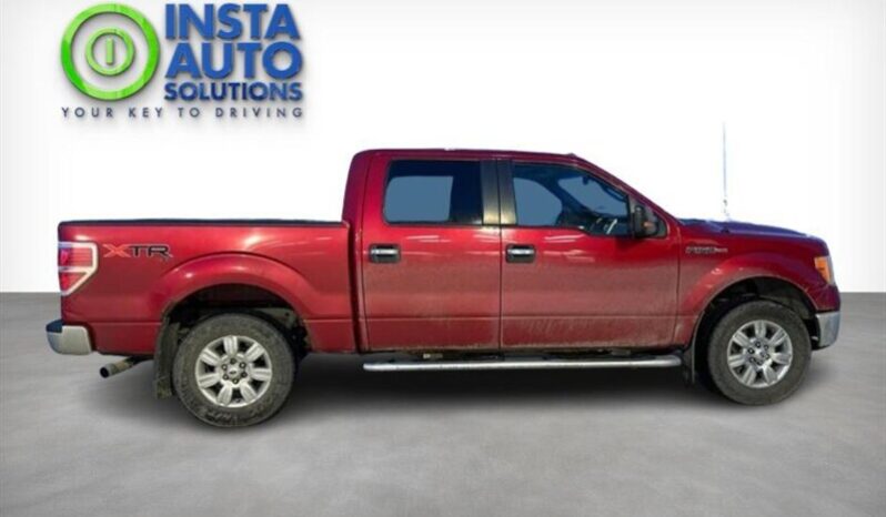 
								2010 Ford F-150 XLT 5.4L SuperCrew 4X4 full									