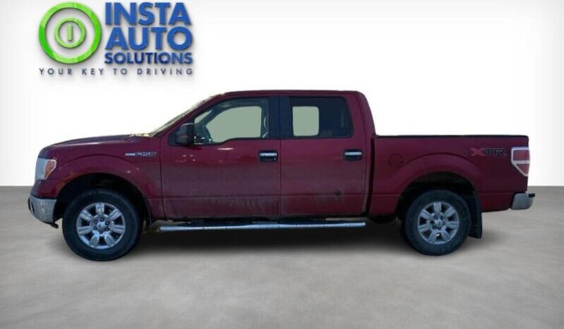 
								2010 Ford F-150 XLT 5.4L SuperCrew 4X4 full									