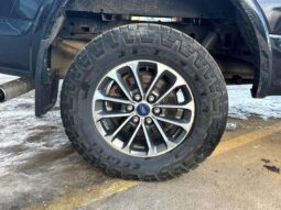 
										2018 Ford F-150 XLT 5.0L V8 Crew Cab 4X4 full									