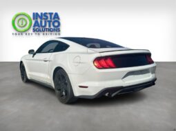 
										2019 Ford Mustang EcoBoost full									