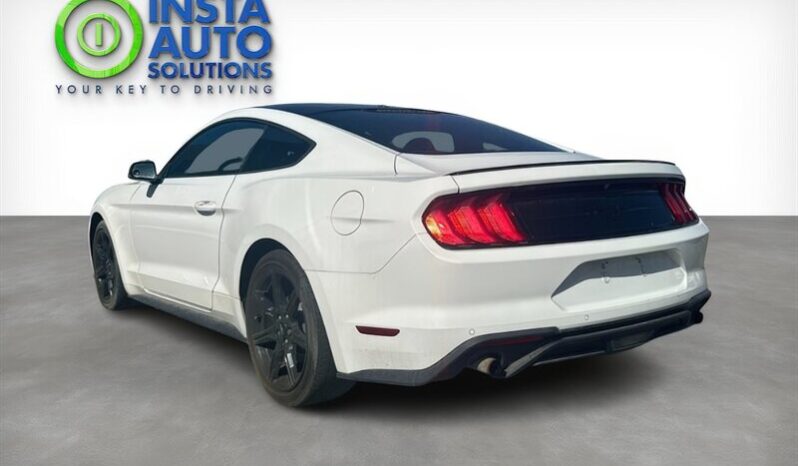 
								2019 Ford Mustang EcoBoost full									