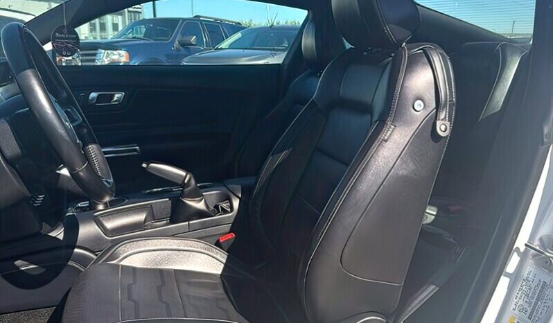 
								2019 Ford Mustang EcoBoost full									