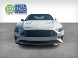 
										2019 Ford Mustang EcoBoost full									