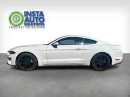 
										2019 Ford Mustang EcoBoost full									