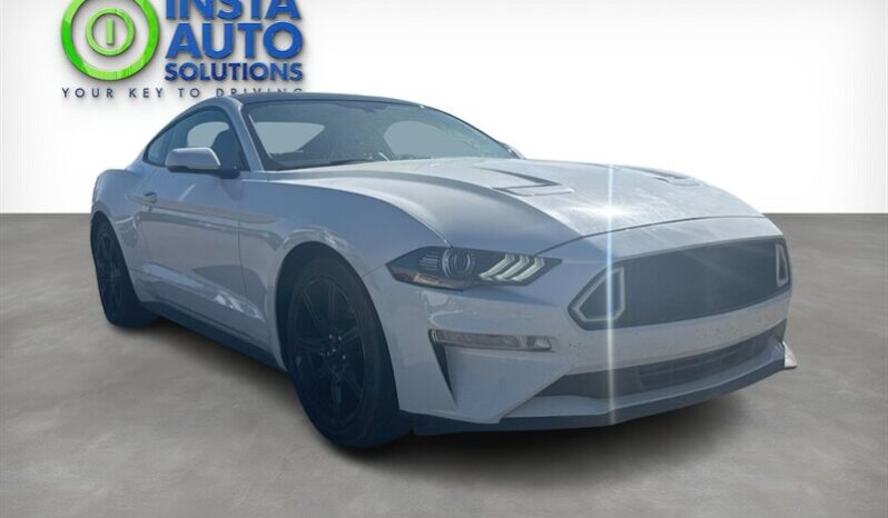 
								2019 Ford Mustang EcoBoost full									