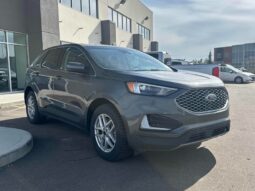 
										2023 Ford Edge SEL AWD full									