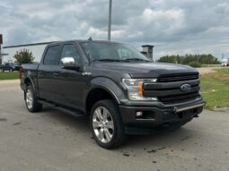 
										2018 Ford F-150 Lariat 5.0L Crew Cab 4X4 full									