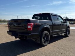 
										2019 Ford F-150 XLT Sport FX4 5.0L Crew Cab 4×4 full									