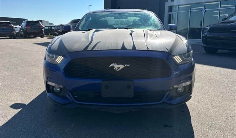 
								2015 Ford Mustang V6 full									