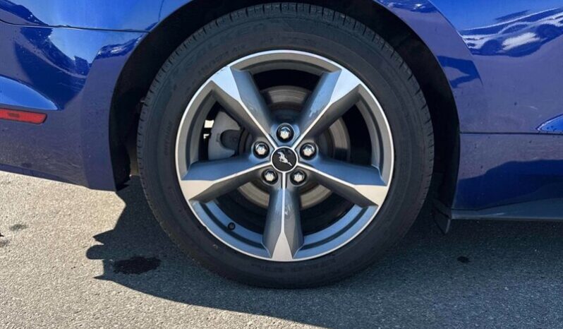 
								2015 Ford Mustang V6 full									