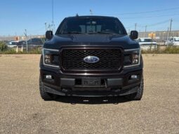 
										2019 Ford F-150 XLT Sport FX4 5.0L Crew Cab 4×4 full									