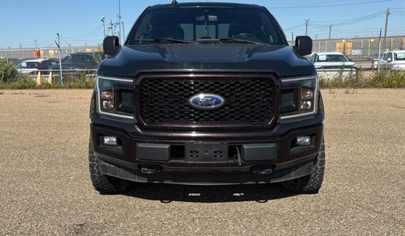 
								2019 Ford F-150 XLT Sport FX4 5.0L Crew Cab 4×4 full									