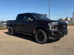 
										2019 Ford F-150 XLT Sport FX4 5.0L Crew Cab 4×4 full									