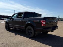 
										2019 Ford F-150 XLT Sport FX4 5.0L Crew Cab 4×4 full									