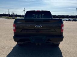 
										2019 Ford F-150 XLT Sport FX4 5.0L Crew Cab 4×4 full									