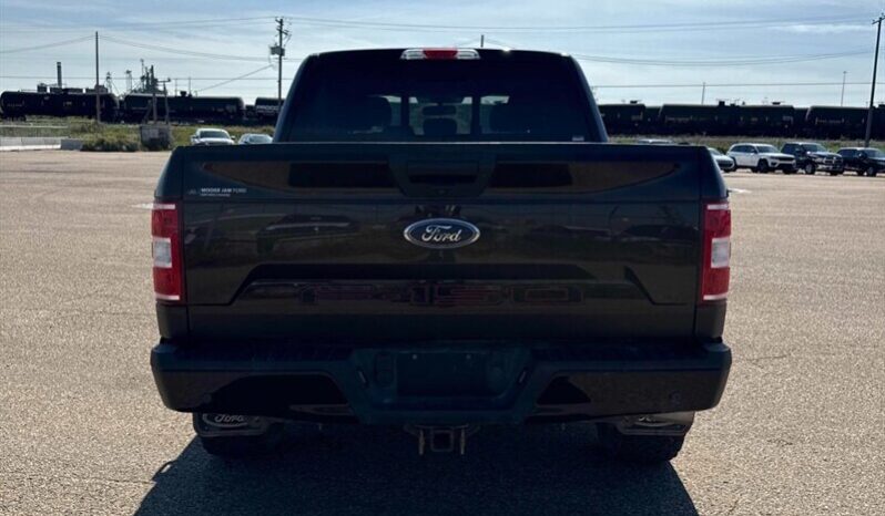 
								2019 Ford F-150 XLT Sport FX4 5.0L Crew Cab 4×4 full									