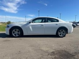 
										2019 Dodge Charger SXT full									