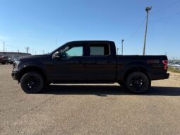 
										2019 Ford F-150 XLT Sport FX4 5.0L Crew Cab 4×4 full									