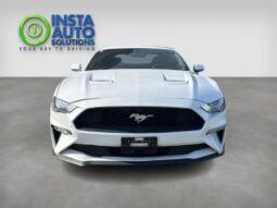 2019 Ford Mustang EcoBoost Fastback full