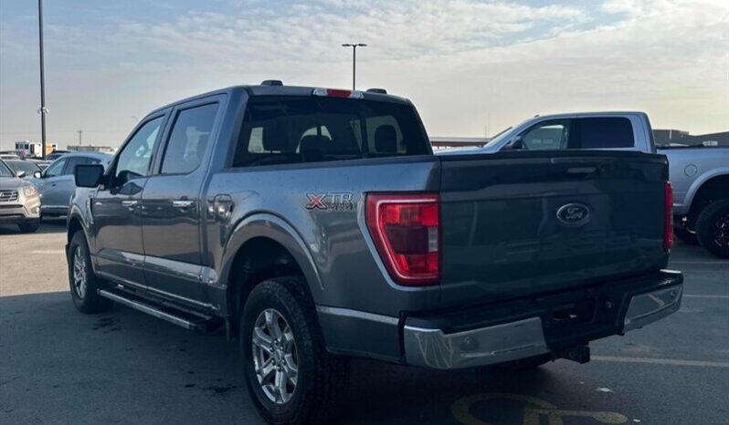 
								2021 Ford F-150 XLT 5.0L Crew Cab 4×4 full									