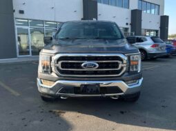 
										2021 Ford F-150 XLT 5.0L Crew Cab 4×4 full									