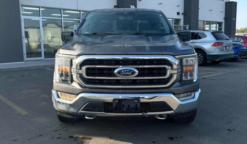 
								2021 Ford F-150 XLT 5.0L Crew Cab 4×4 full									