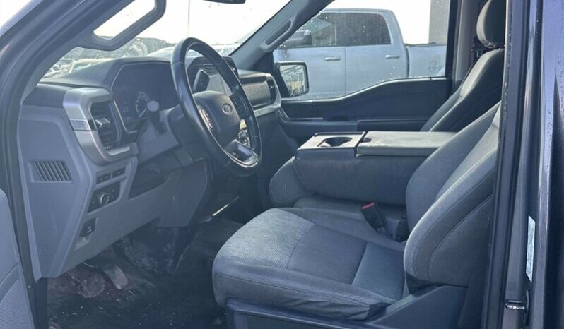 
								2021 Ford F-150 XLT 5.0L Crew Cab 4×4 full									
