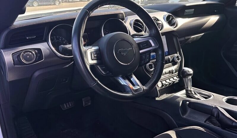 2019 Ford Mustang EcoBoost Fastback full