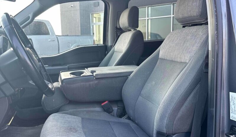 
								2021 Ford F-150 XLT 5.0L Crew Cab 4×4 full									
