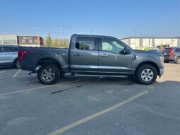 
										2021 Ford F-150 XLT 5.0L Crew Cab 4×4 full									