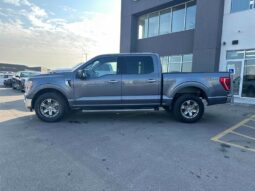 
										2021 Ford F-150 XLT 5.0L Crew Cab 4×4 full									