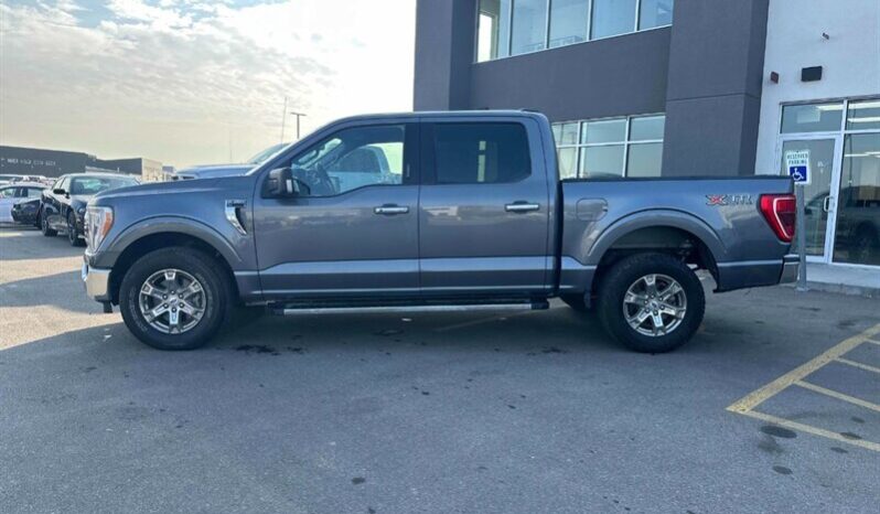 
								2021 Ford F-150 XLT 5.0L Crew Cab 4×4 full									