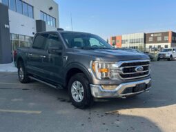 
										2021 Ford F-150 XLT 5.0L Crew Cab 4×4 full									