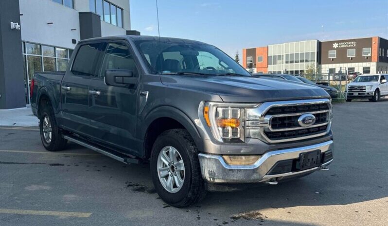 
								2021 Ford F-150 XLT 5.0L Crew Cab 4×4 full									