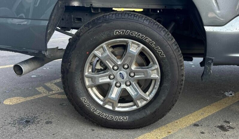 
								2021 Ford F-150 XLT 5.0L Crew Cab 4×4 full									