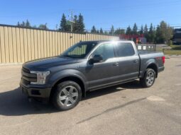 2019 Ford F-150 Lariat FX4 Crew Cab 4X4 3.5L Eco Boost