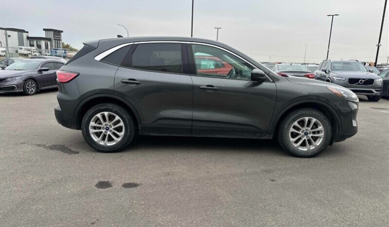 
								2020 Ford Escape SE AWD full									