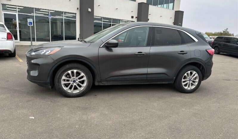
								2020 Ford Escape SE AWD full									
