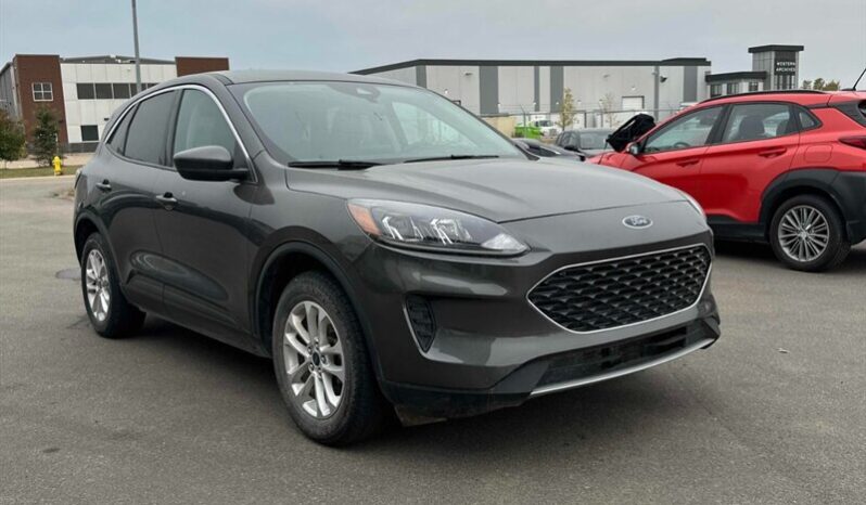 
								2020 Ford Escape SE AWD full									
