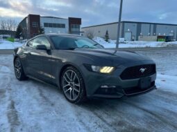 
										2017 Ford Mustang EcoBoost full									