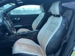 
										2017 Ford Mustang EcoBoost full									