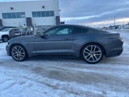 
										2017 Ford Mustang EcoBoost full									