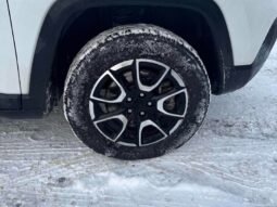 
										2024 Jeep Compass Trailhawk 4×4 full									