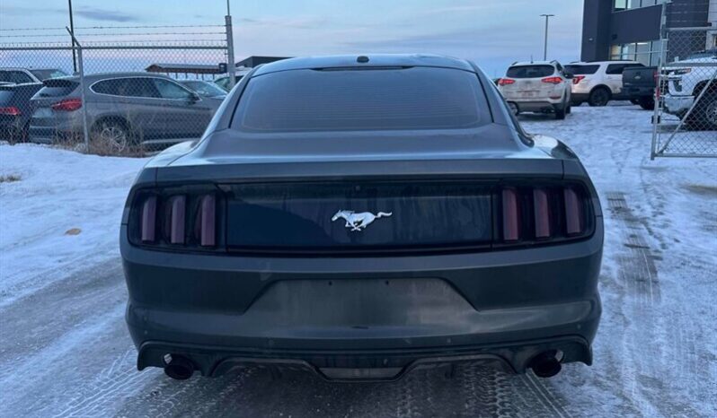 
								2017 Ford Mustang EcoBoost full									